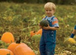 Child with pumpkin Direct Marketing in Virginia
