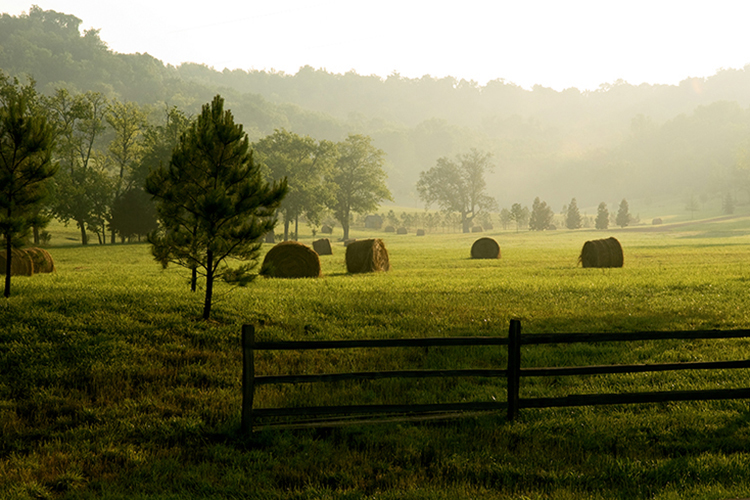 Developing Rural Tennessee - Farm Flavor