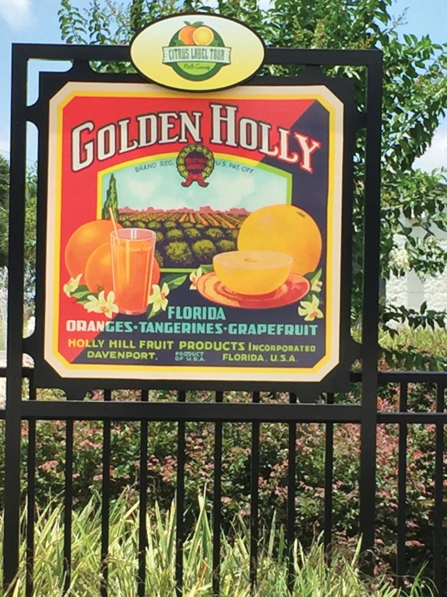 GOLDEN HOLLY~ORIGINAL DAVENPORT FLORIDA PACKING HOUSE CITRUS FRUIT CRATE LABEL 